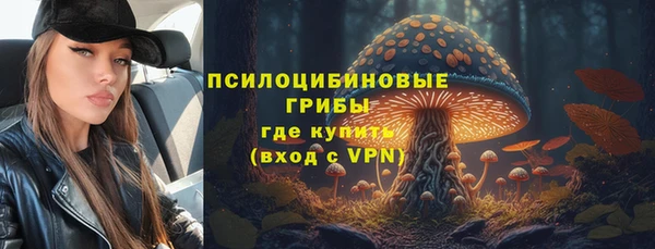 прущие крисы Арсеньев